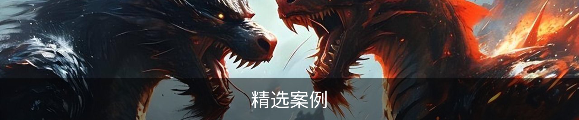 精选案例