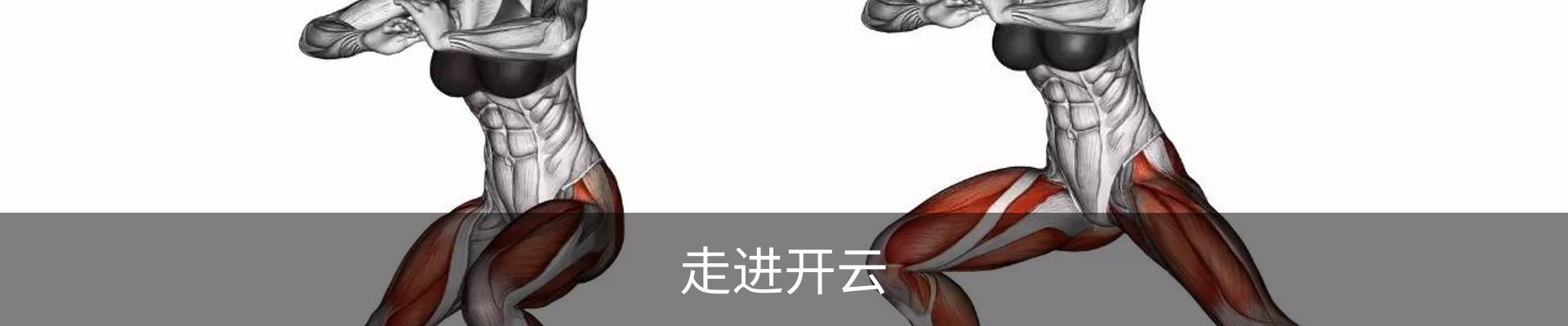 走进开云